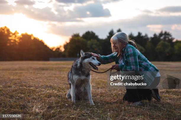 this dog make her happy - older people walking a dog stock pictures, royalty-free photos & images