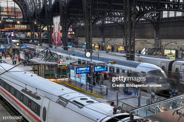 Trains, passengers, platform, station hall, central station, Hamburg, Germany, Zuge, Passagiere, Bahnsteig, Bahnhofshalle, Hauptbahnhof, Germany.