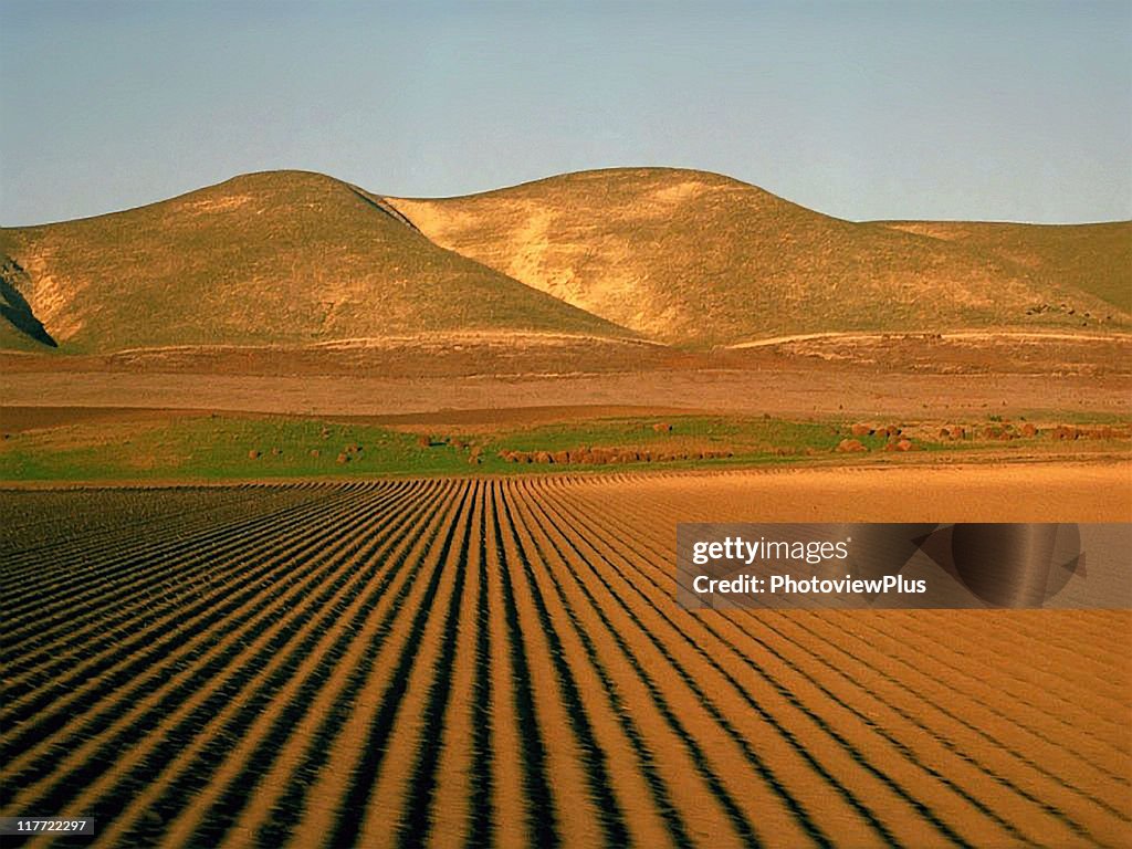 San joaquin from the pacific starlight
