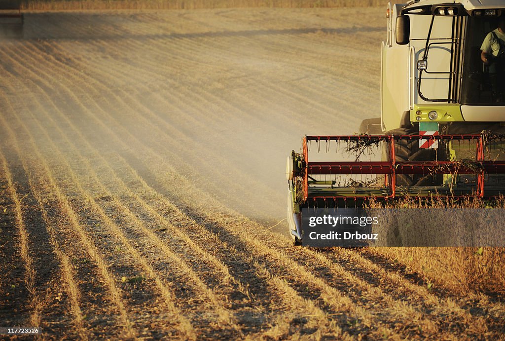 Harvest