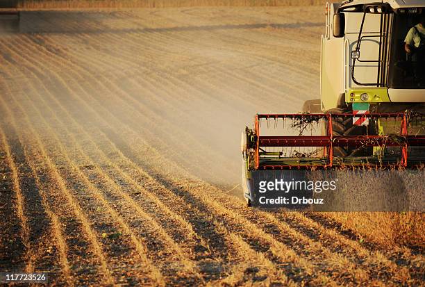 harvest - soybean harvest - fotografias e filmes do acervo