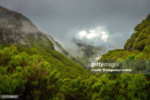 Rabacal-Tal, Central Mountains, Madeira, Portugal, Zentralgebirge.