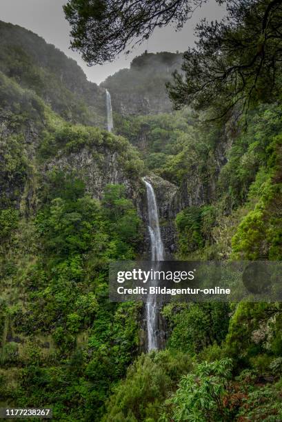 Risco waterfall, Rabacal-Tal, Central Mountains, Madeira, Portugal, Risco Wasserfall, Zentralgebirge.