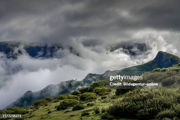 Rabacal-Tal, Central Mountains, Madeira, Portugal, Zentralgebirge.