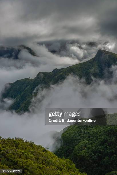 Rabacal-Tal, Central Mountains, Madeira, Portugal, Zentralgebirge.