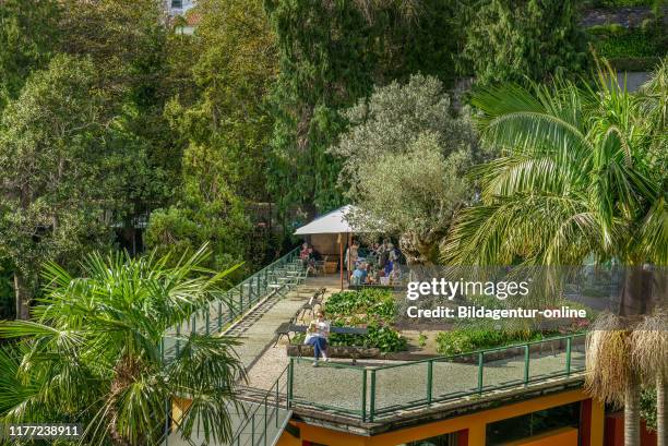 Monte Palace Tropical Garden, Monte, Funchal, Madeira, Portugal.