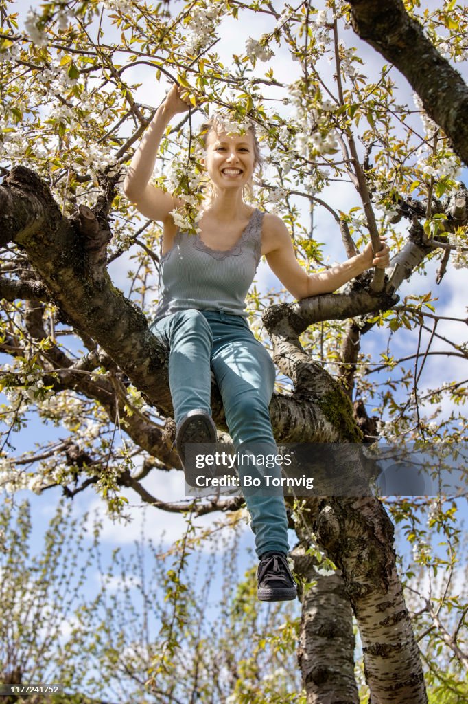 Young woman in cherry tree