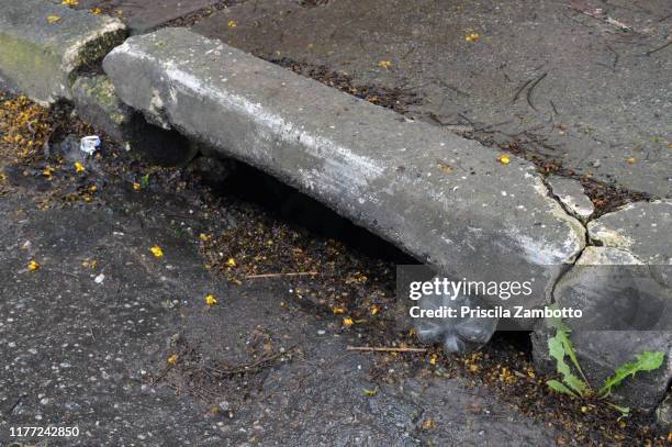 plastic bottle blocking a roadside drain/gutter - curb stock pictures, royalty-free photos & images