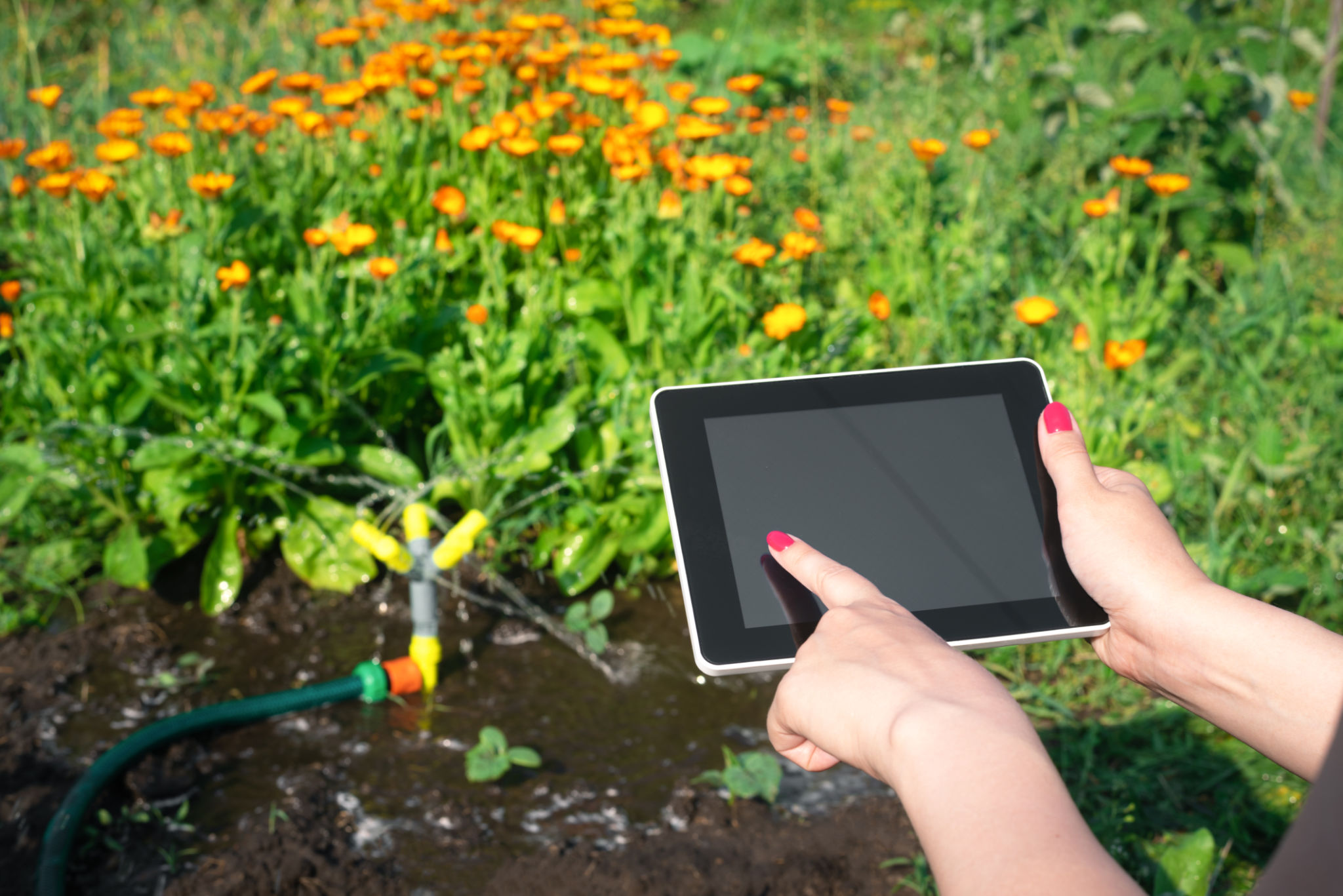 smart irrigation