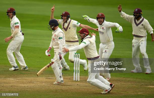 The Somerset side celebrate the wicket of Adam Wheater of Essex during Day Four of the Specsavers County Championship Division One match between...