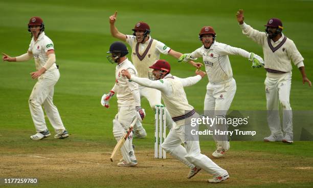 The Somerset side celebrate the wicket of Adam Wheater of Essex during Day Four of the Specsavers County Championship Division One match between...