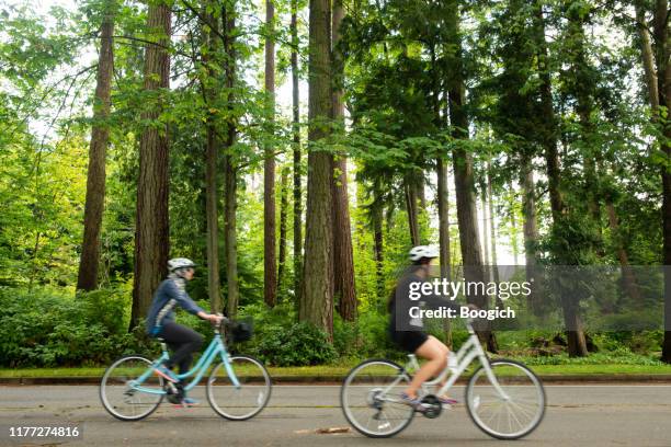 duas bicicletas da equitação dos povos por árvores no parque vancôver de stanley - parque stanley - fotografias e filmes do acervo