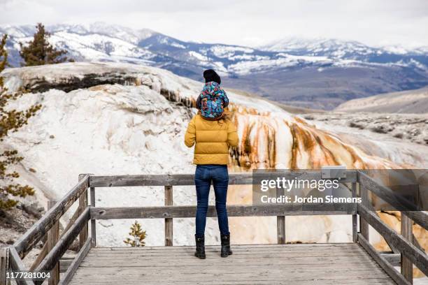 a mother and her son out hiking - yellowstone national park stock pictures, royalty-free photos & images