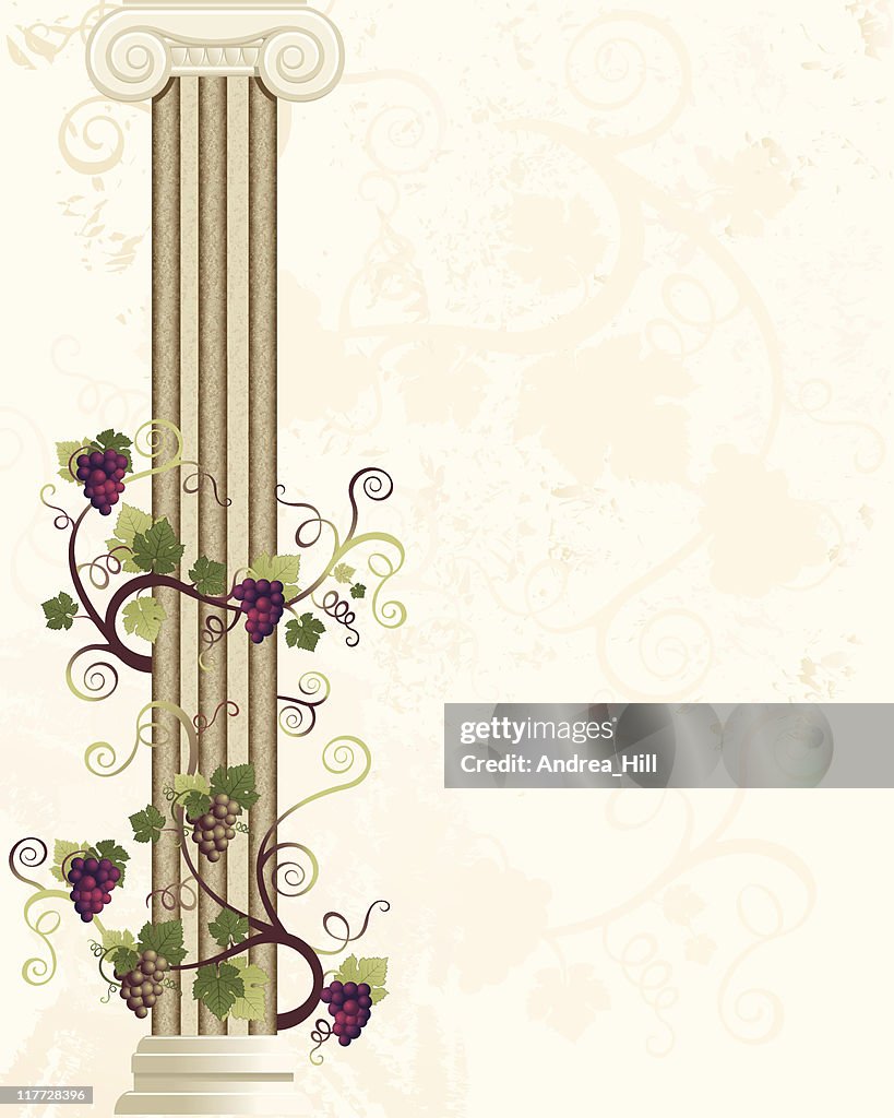 Column with Grape Vine