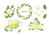 Jasmine set. Branch, wreath, tea and essential oil isolated on white background. Vector illustration of white jessamine flowers and green leaves in cartoon flat style.