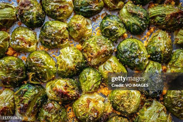 oven roasted brussels sprouts - brussel sprout stock pictures, royalty-free photos & images