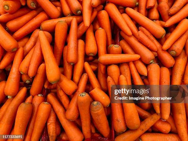 many carrots are beautifully arranged, can be used as background. - carrot fotografías e imágenes de stock