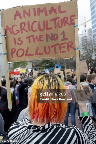 Supporters arrive in Aotea Square on September 27, 2019 in Auckland, New Zealand. Rallies held across New Zealand are part of a global movement for...