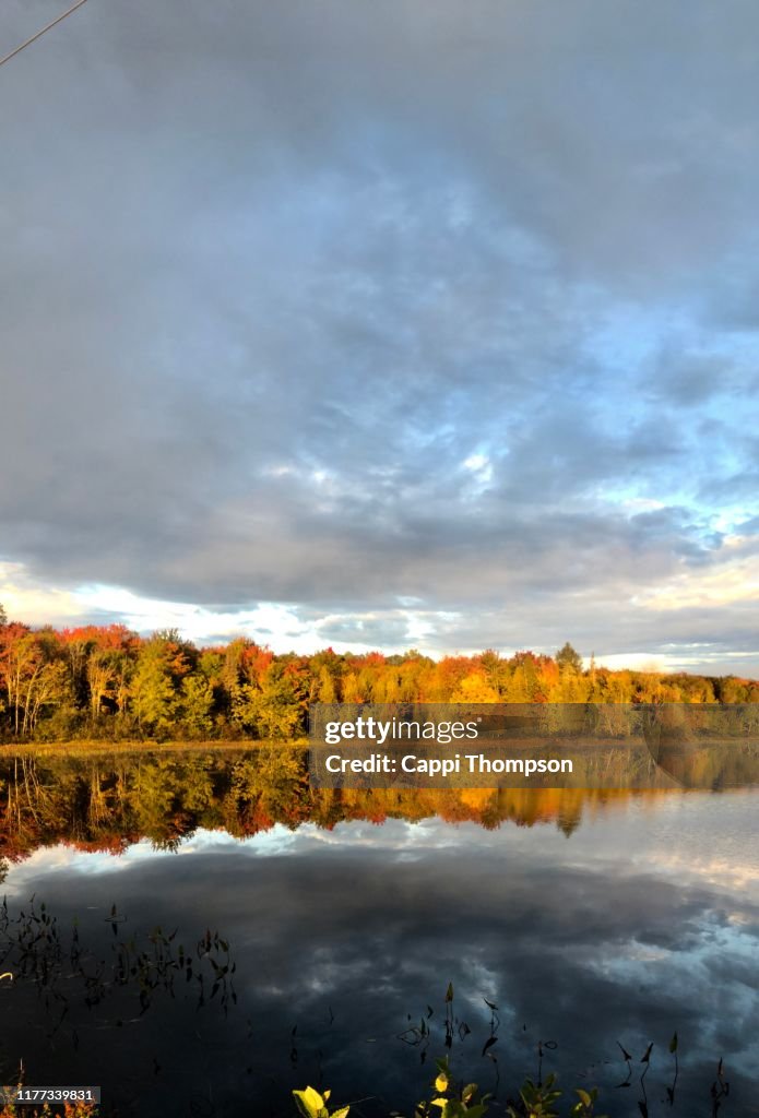 Autumn foliage along the Androscoggin River in Dummer, New Hampshire USA