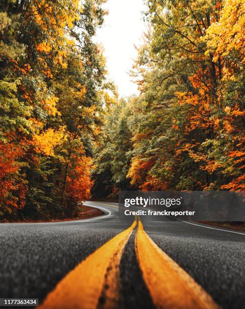 autumnal road in new england - fall road trip stock pictures, royalty-free photos & images