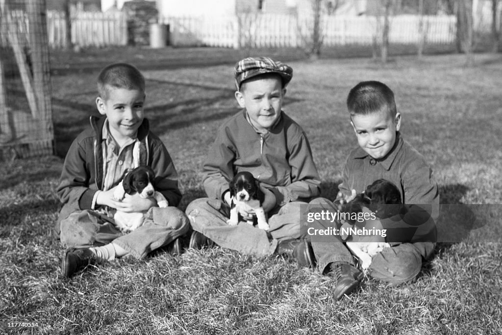 Boys with puppies 1959, retro