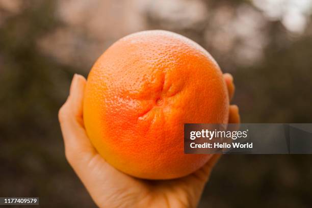 hand holding a beautiful ripe orange - radius circle stock pictures, royalty-free photos & images