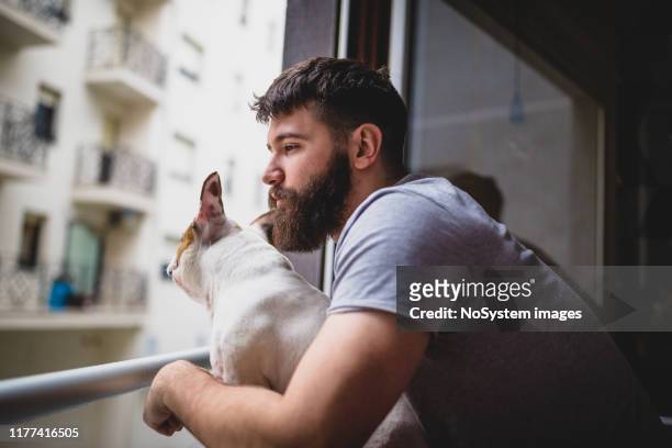 waking up with his dog, looking through the window - muzzle human stock pictures, royalty-free photos & images