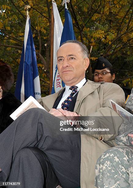 Senator Charles Schumer during Country Takes New York City - Veterans Day Ceremony - Montgomery Gentry Performance at Madison Square Park in New York...