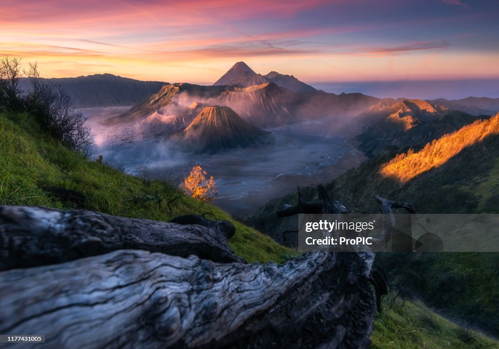 Mount Bromo , is part of the Tengger massif, in East Java, Indonesia. Beautiful nature background.