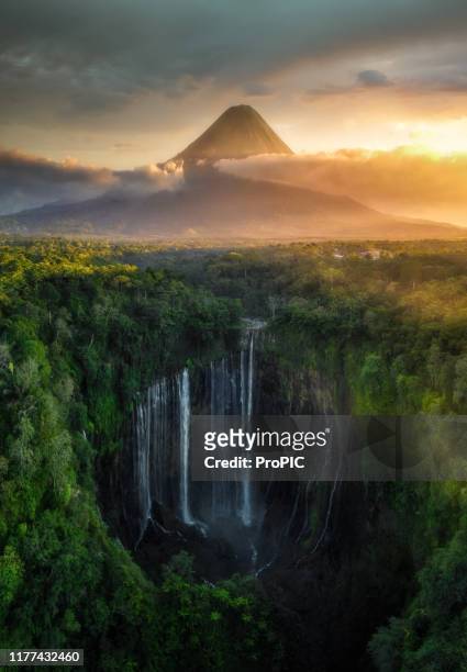 tumpak sewu waterfall ,lumajang, jawa, indonesia. beautiful natural scenery. - java indonesia fotografías e imágenes de stock