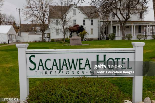 Buffalo in front of Sacajawea Hotel, honors Sacajawea and the Lewis and Clark Expedition, Three Forks, Montana.