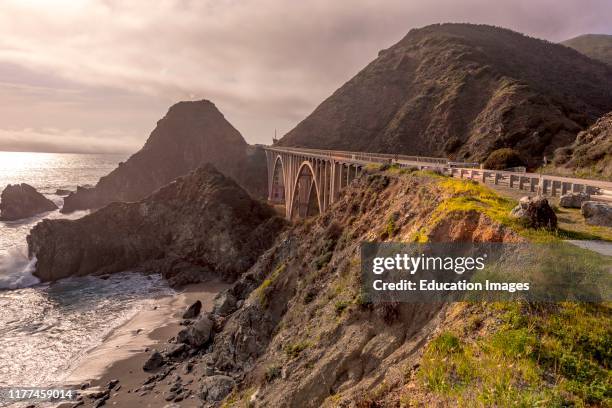 Springtime on California Coast, Pacific Coast Highway.