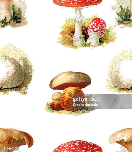 mushrooms seamless pattern - orange agaric stock illustrations