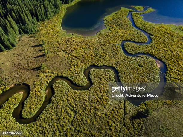 bovenaanzicht meander creek mountain lake - piney lake stockfoto's en -beelden