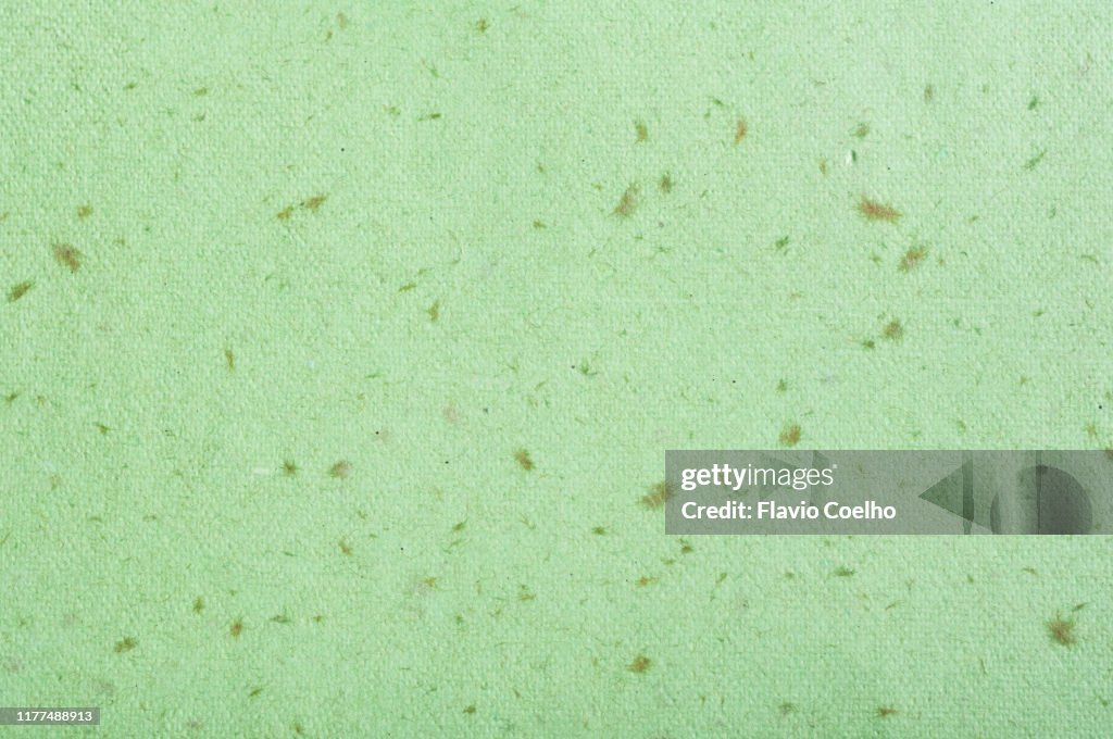 Handmade green recycled paper background
