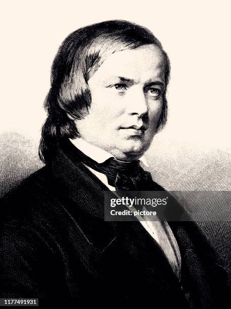 robert schumann (xxxl) - robert schumann composer stock illustrations