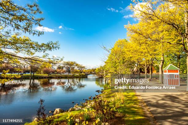 charles river esplanade - charles river stock pictures, royalty-free photos & images