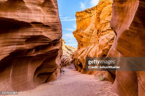 antelope canyon - canyon stock pictures, royalty-free photos & images