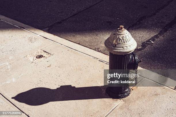 hydrant at midday in new york - borne à incendie photos et images de collection
