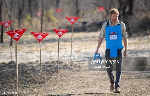 Prince Harry, Duke of Sussex walks through a minefield during a visit to see the work of landmine clearance charity the Halo Trust, on day five of...