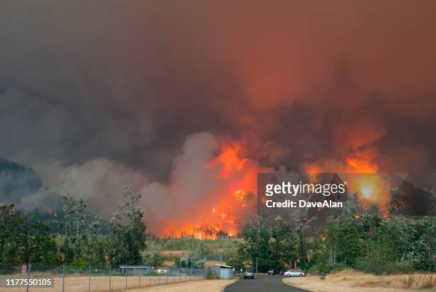 eagle creek wildfire oregon. - forest fire oregon stock pictures, royalty-free photos & images