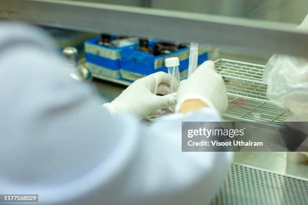 doctor examining the urine in laboratory - drug test stock pictures, royalty-free photos & images