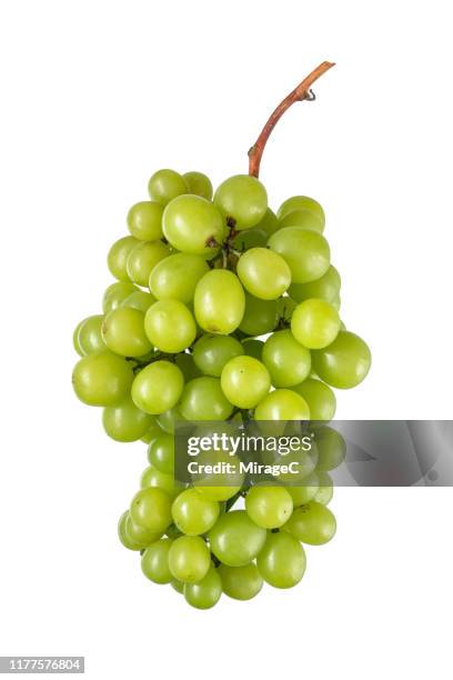 white grape isolated on white background - green grape stock pictures, royalty-free photos & images
