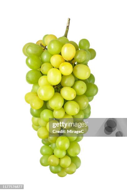 white grape isolated on white background - bund stock-fotos und bilder