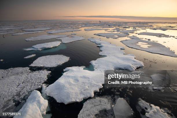 pack ice in svalbard - artic stockfoto's en -beelden