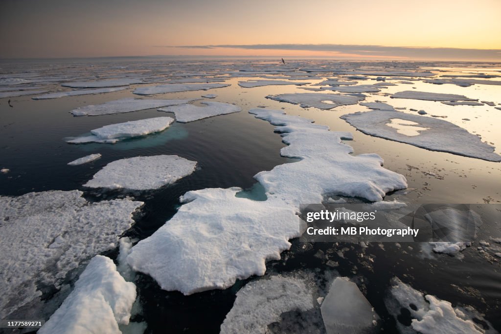 Pack ice in Svalbard