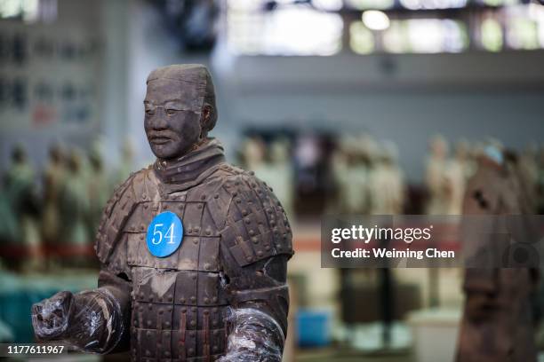 terracotta warriors and horses of qin dynasty - mausoleum of the first qin emperor stock pictures, royalty-free photos & images