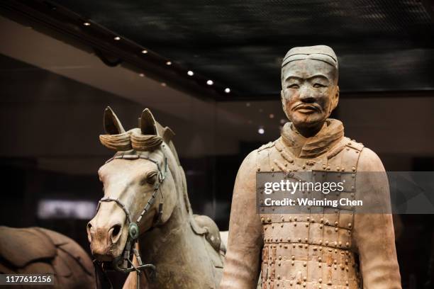 terracotta warriors and horses of qin dynasty - terracotta army ストックフォトと画像