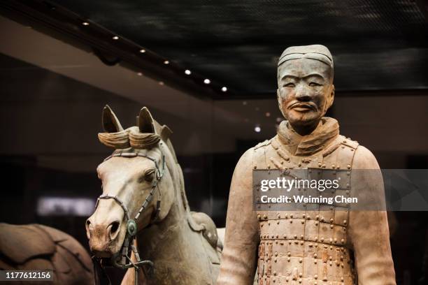 terracotta warriors and horses of qin dynasty - mausoleum of the first qin emperor stock pictures, royalty-free photos & images