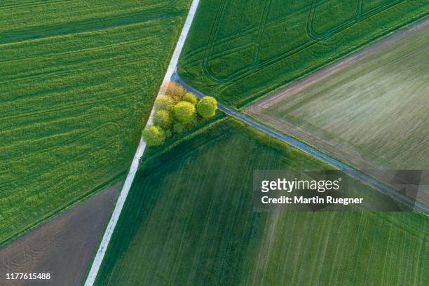 aerial view of rural road with trees and agricultural fields. franconia, bavaria, germany. - create cultivate fotografías e imágenes de stock